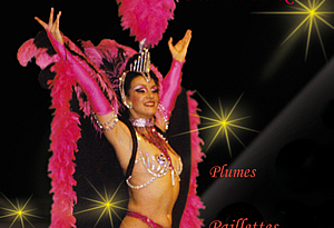 Le Diamant Rose Le Diamant Rose