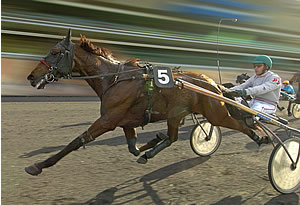 Hippodrome de Paris Hippodrome de Paris